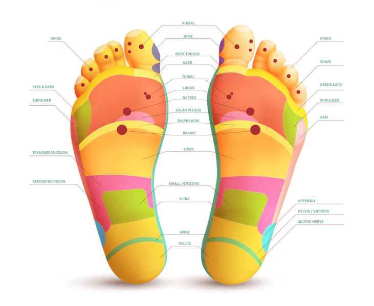 Feet Pressure Points - Foot Massages