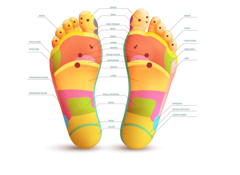 foot reflexology